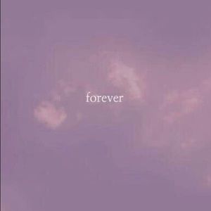 Meet your Posher, Liz